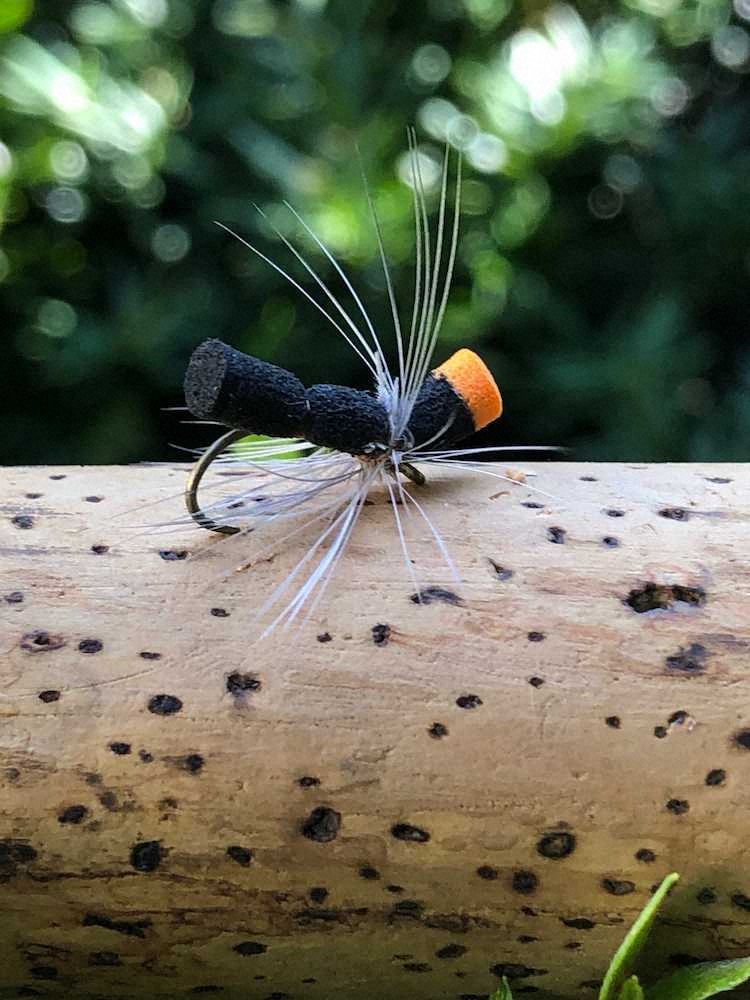 【画像・写真】秘境で出合ったニジマス40センチ　知る人ぞ知る美しい池に感動