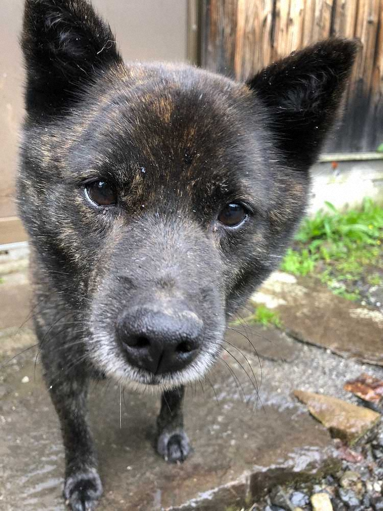 【画像・写真】秘境で出合ったニジマス40センチ　知る人ぞ知る美しい池に感動