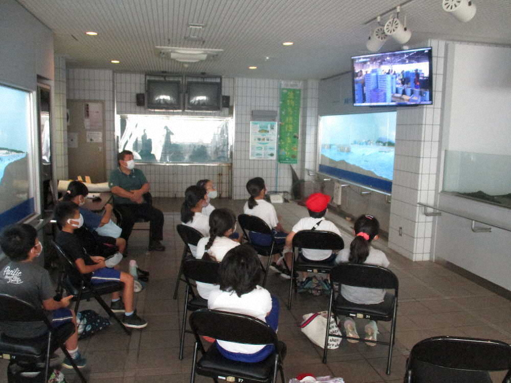 【画像・写真】【第７７回】かわいい！！！！