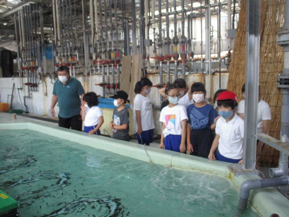 【画像・写真】【第７７回】かわいい！！！！