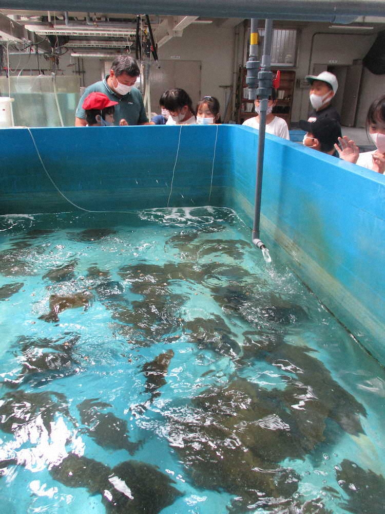 【画像・写真】【第７７回】かわいい！！！！