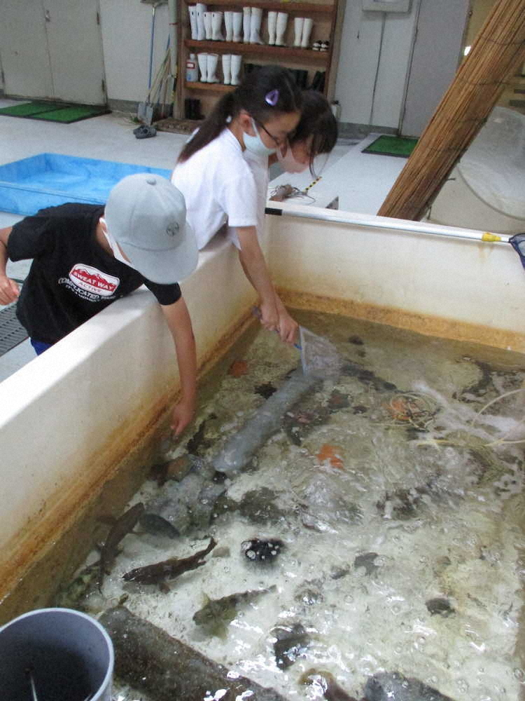 【画像・写真】【第７７回】かわいい！！！！