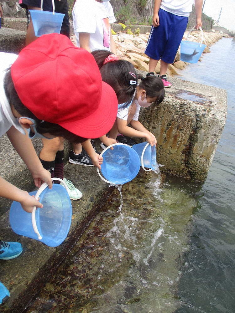 【画像・写真】【第７７回】かわいい！！！！