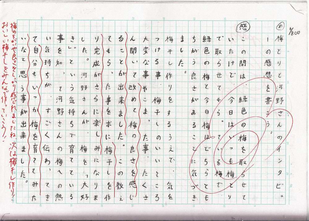 【画像・写真】【第７８回】今度は梅干し！