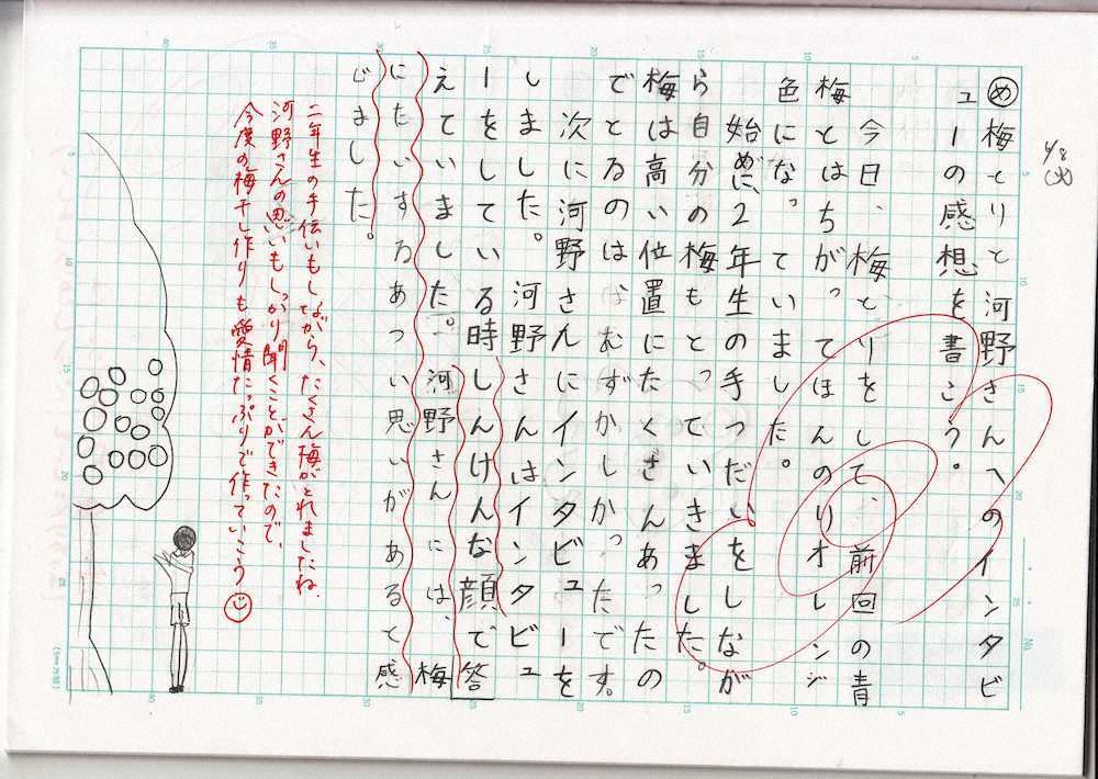 【画像・写真】【第７８回】今度は梅干し！