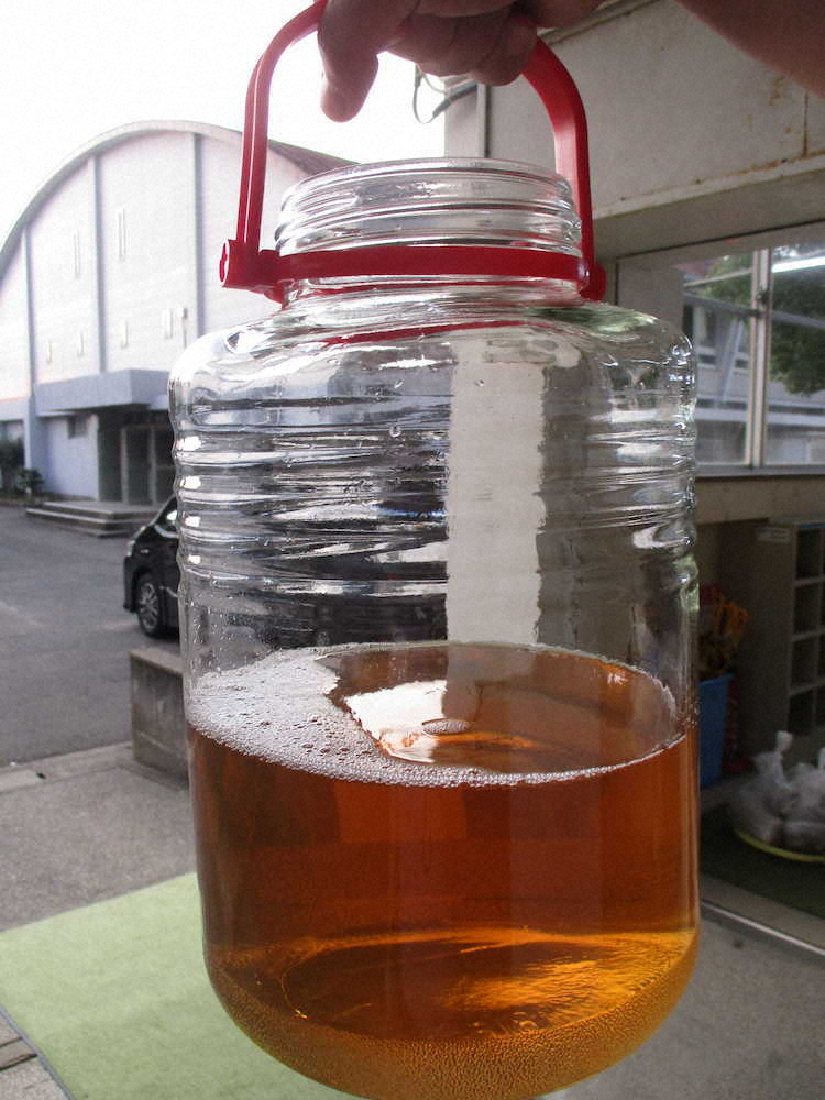 【画像・写真】【第７９回】My梅干しづくり