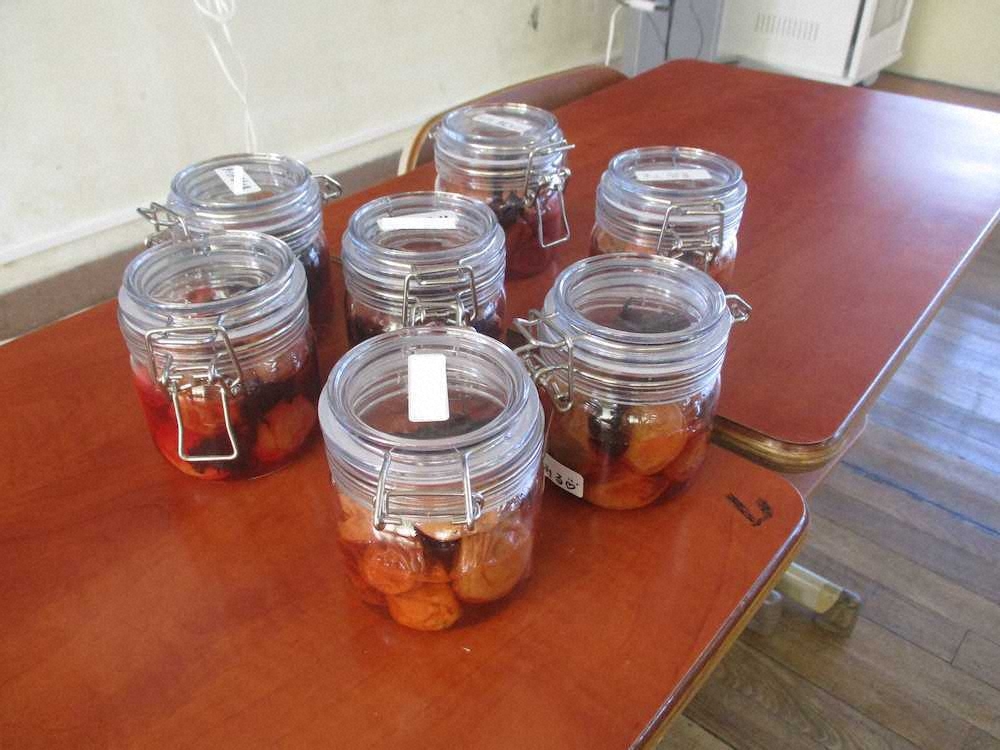 【画像・写真】【第７９回】My梅干しづくり