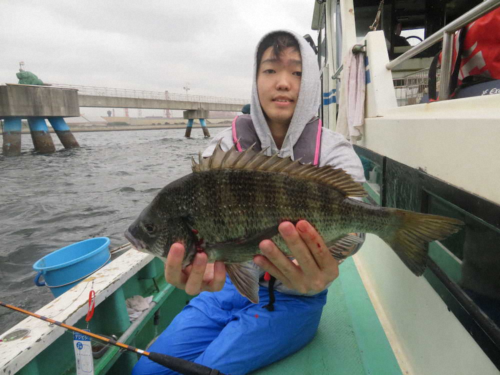 【画像・写真】アジな大歓迎で100匹超え　“富栄養”の海からゲストも