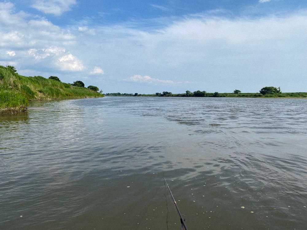 大河川、利根川で流れがよれている場所を探して竿を出した