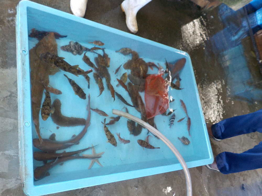 【画像・写真】【第９１回】海の風に吹かれながら野外オンライン授業にチャレンジ（授業編その2）