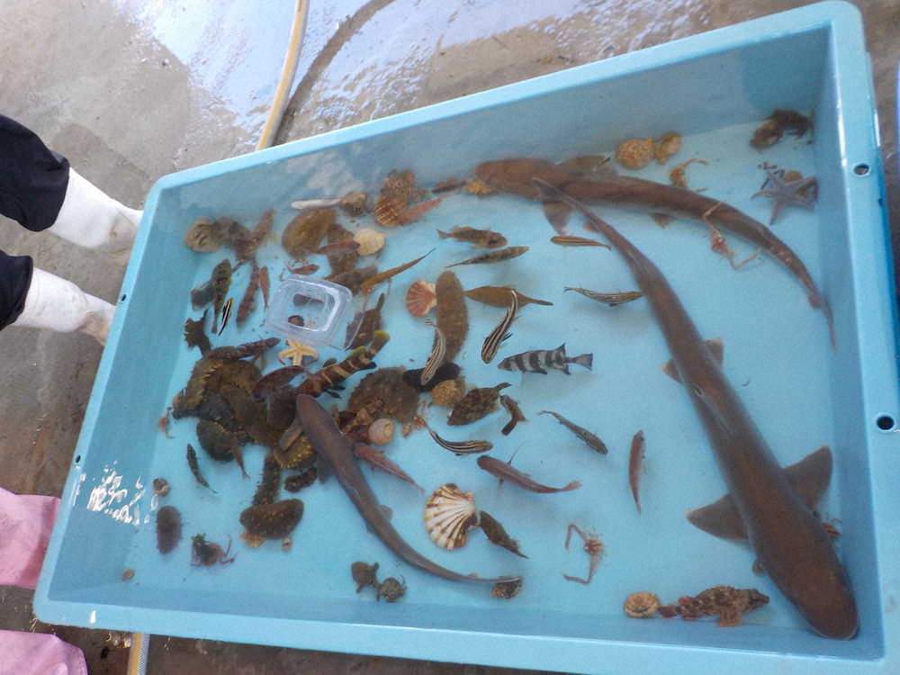 【画像・写真】【第９１回】海の風に吹かれながら野外オンライン授業にチャレンジ（授業編その2）