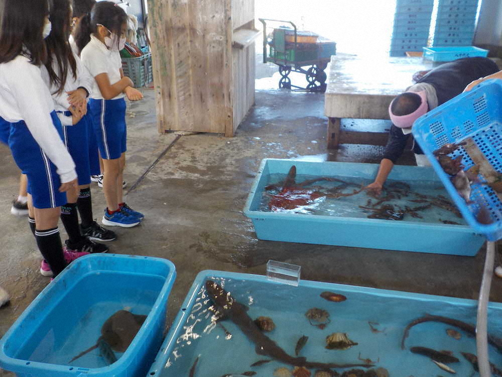 【画像・写真】【第９１回】海の風に吹かれながら野外オンライン授業にチャレンジ（授業編その2）