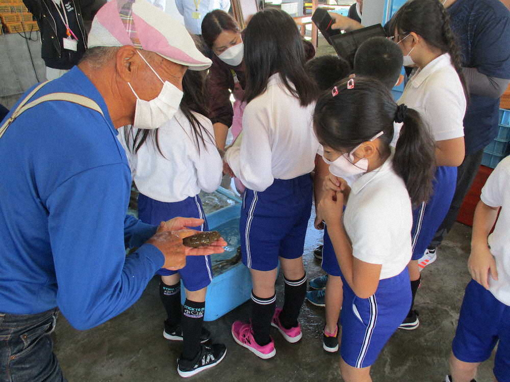 【画像・写真】【第９１回】海の風に吹かれながら野外オンライン授業にチャレンジ（授業編その2）