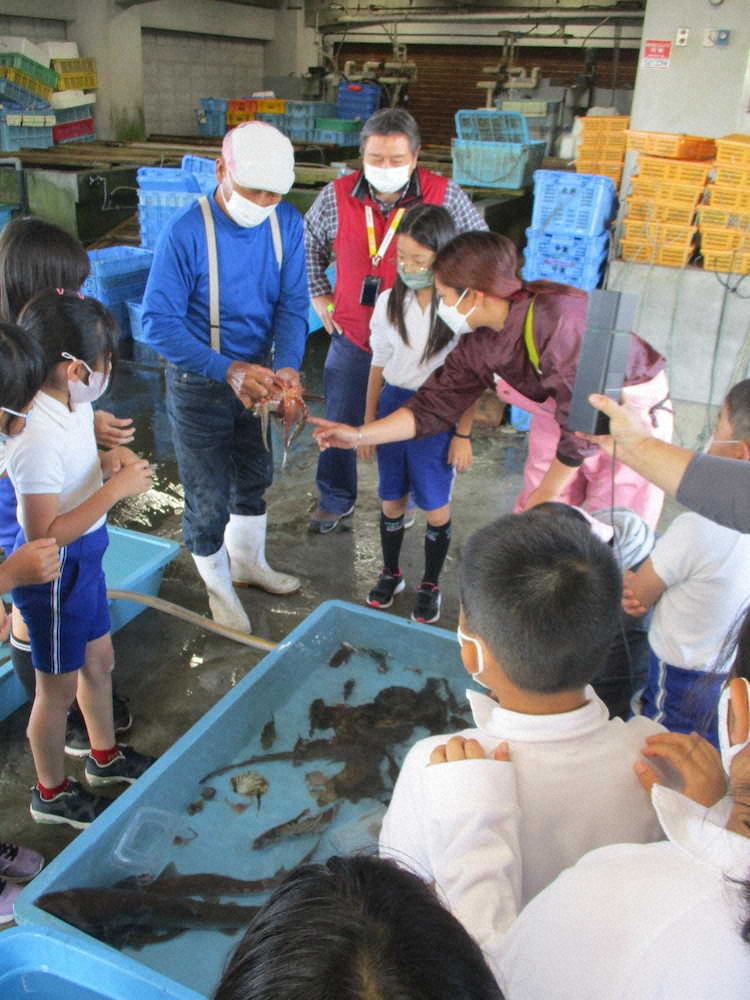 【画像・写真】【第９１回】海の風に吹かれながら野外オンライン授業にチャレンジ（授業編その2）
