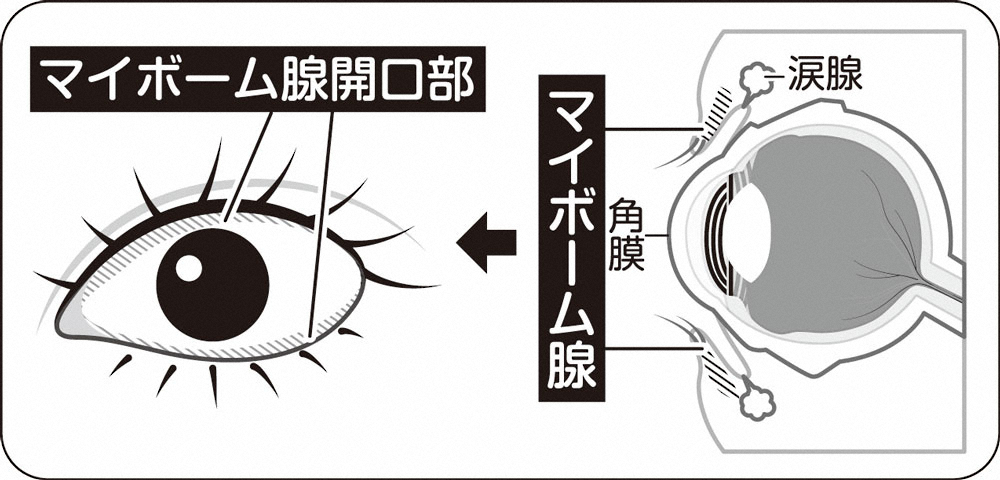 【画像・写真】【生島ヒロシ　オヤジの処方箋】目の「油」でドライアイ防ぐ　痛い目見る前に3カ条