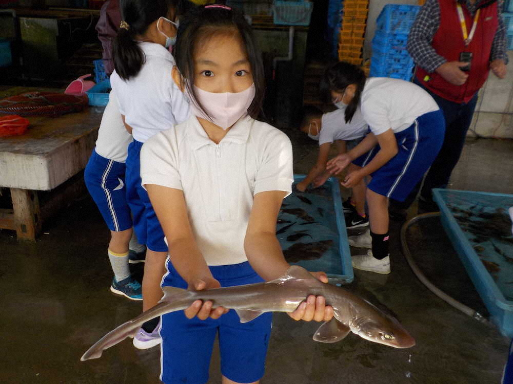 【画像・写真】【第９２回】海の魚を紹介するぞ！（授業編その3）