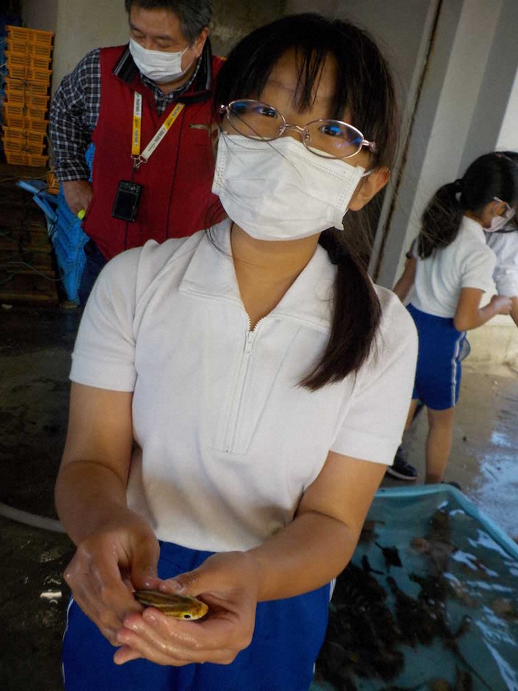 【画像・写真】【第９２回】海の魚を紹介するぞ！（授業編その3）