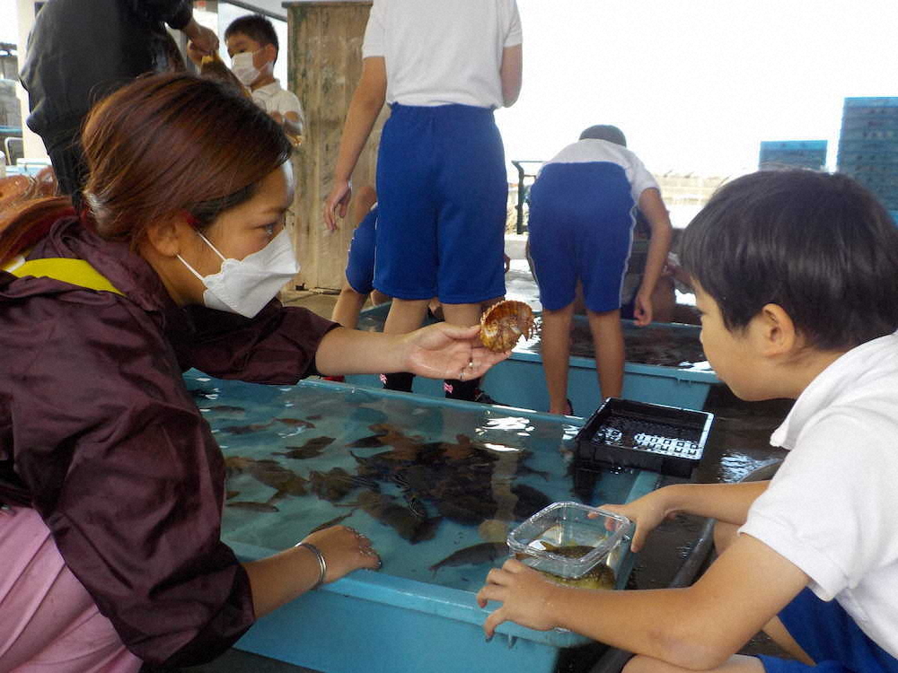 【画像・写真】【第９２回】海の魚を紹介するぞ！（授業編その3）