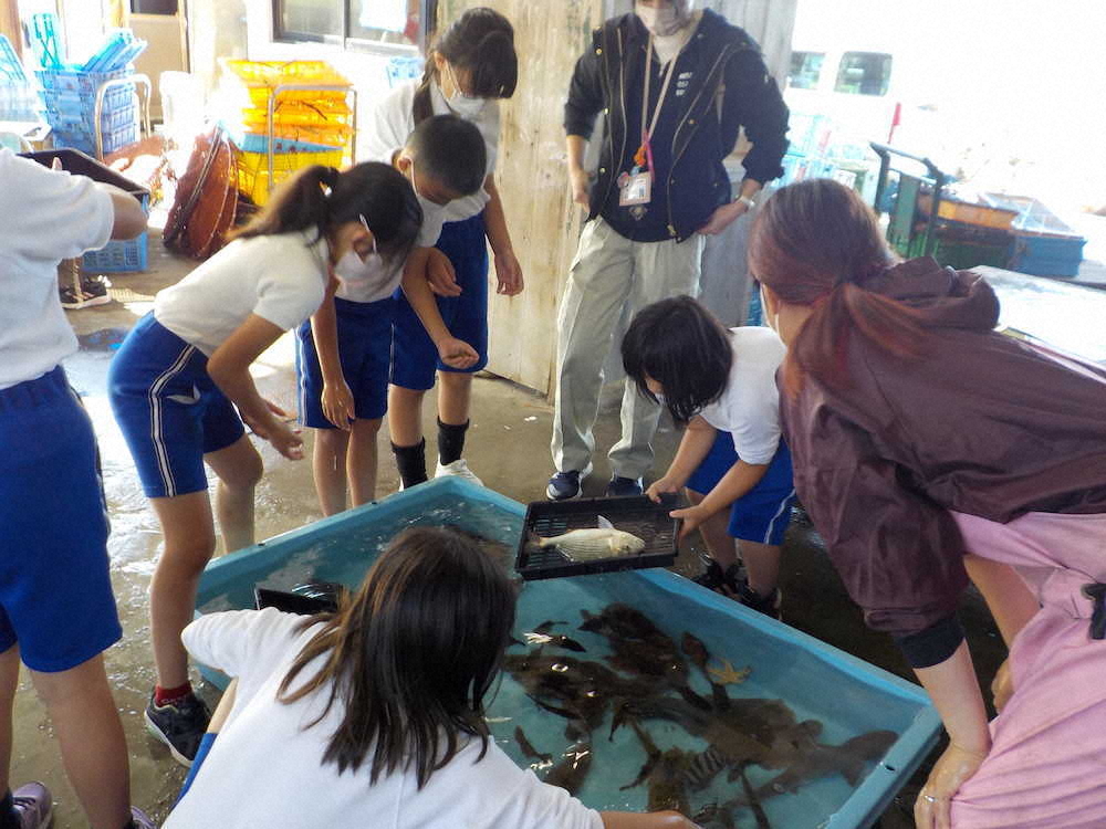 【画像・写真】【第９２回】海の魚を紹介するぞ！（授業編その3）