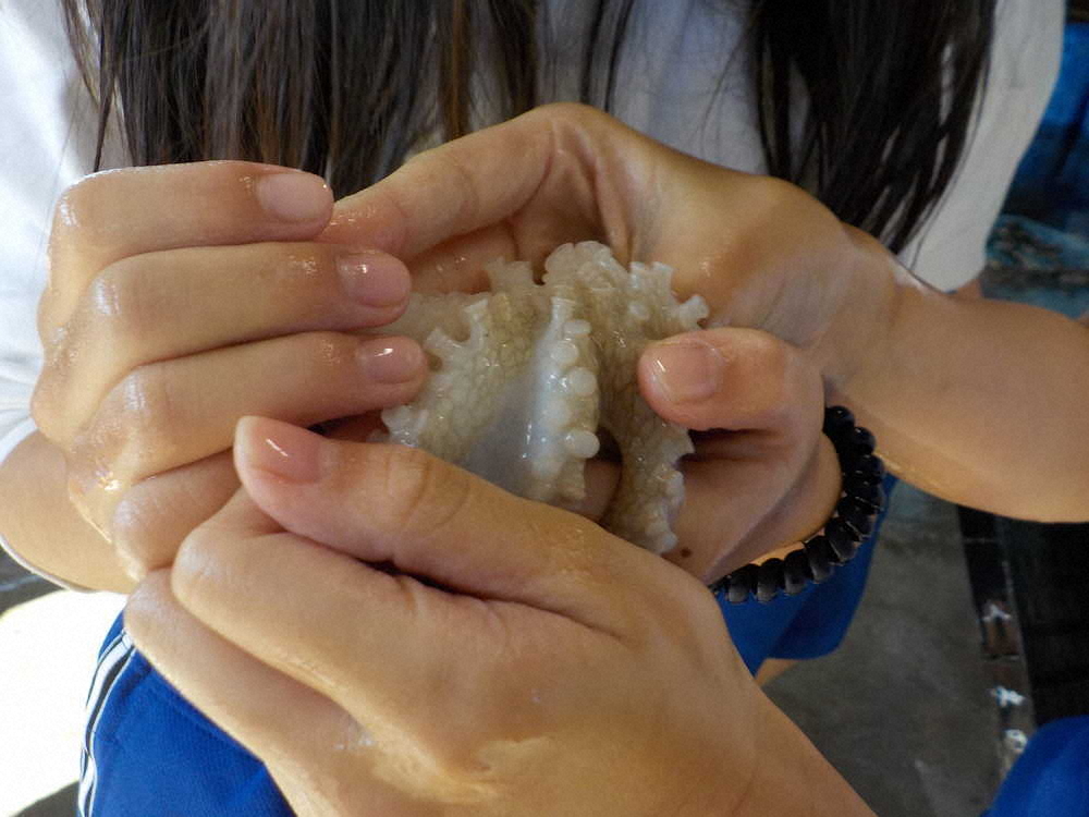 【画像・写真】【第９２回】海の魚を紹介するぞ！（授業編その3）