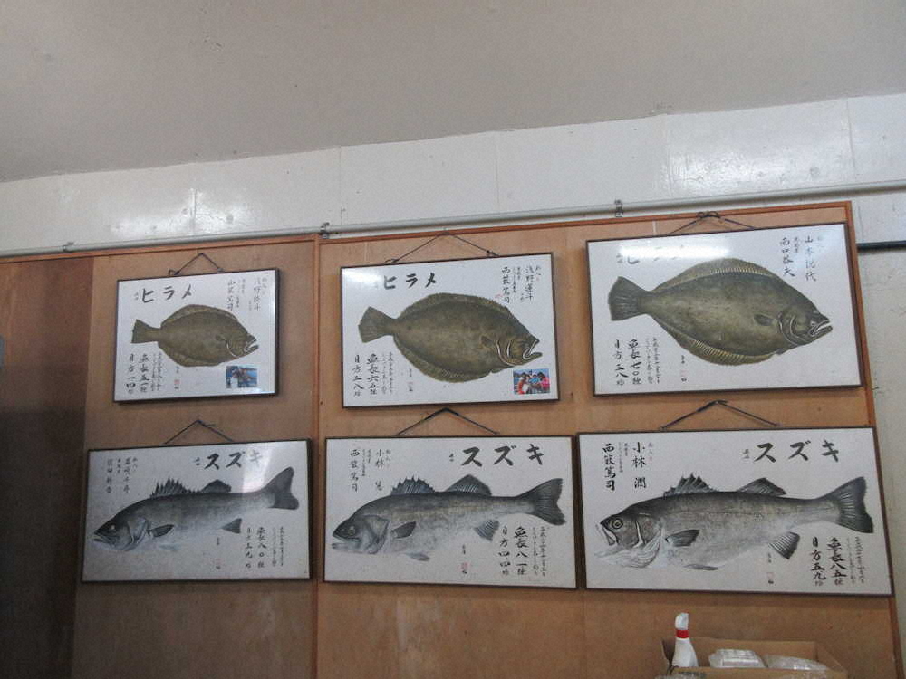 【画像・写真】【第９４回】岬町は魚の通り路