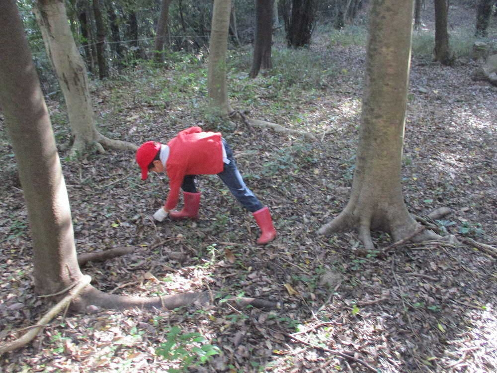 【画像・写真】【第９６回】1500年前にタイムスリップ（その2）