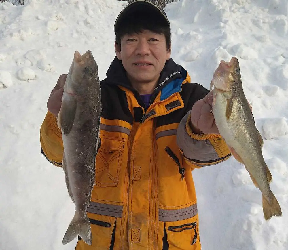 ホッケ入れ食い108匹 コマセ打ち続けが奏功 岩内港 スポニチ Sponichi Annex 社会