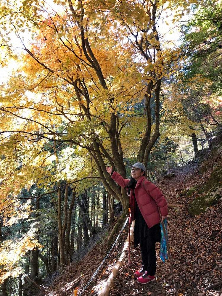 【画像・写真】【だから元気!】五大路子　低山登山でパワー注入、舞台への意欲衰えず