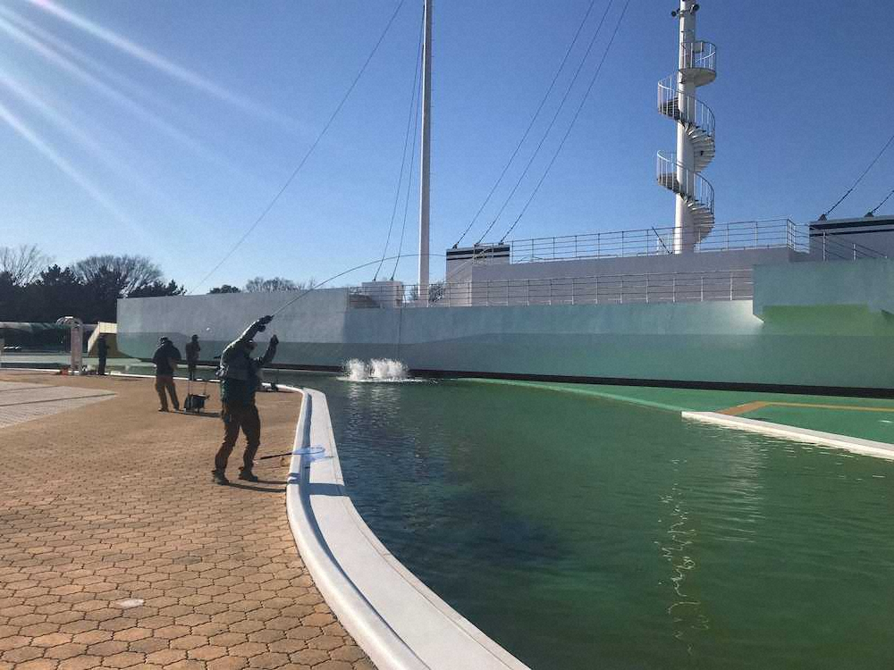 【画像・写真】逆風でトラえた37センチ　レインボートラウト　埼玉・川越フィッシングフィールド