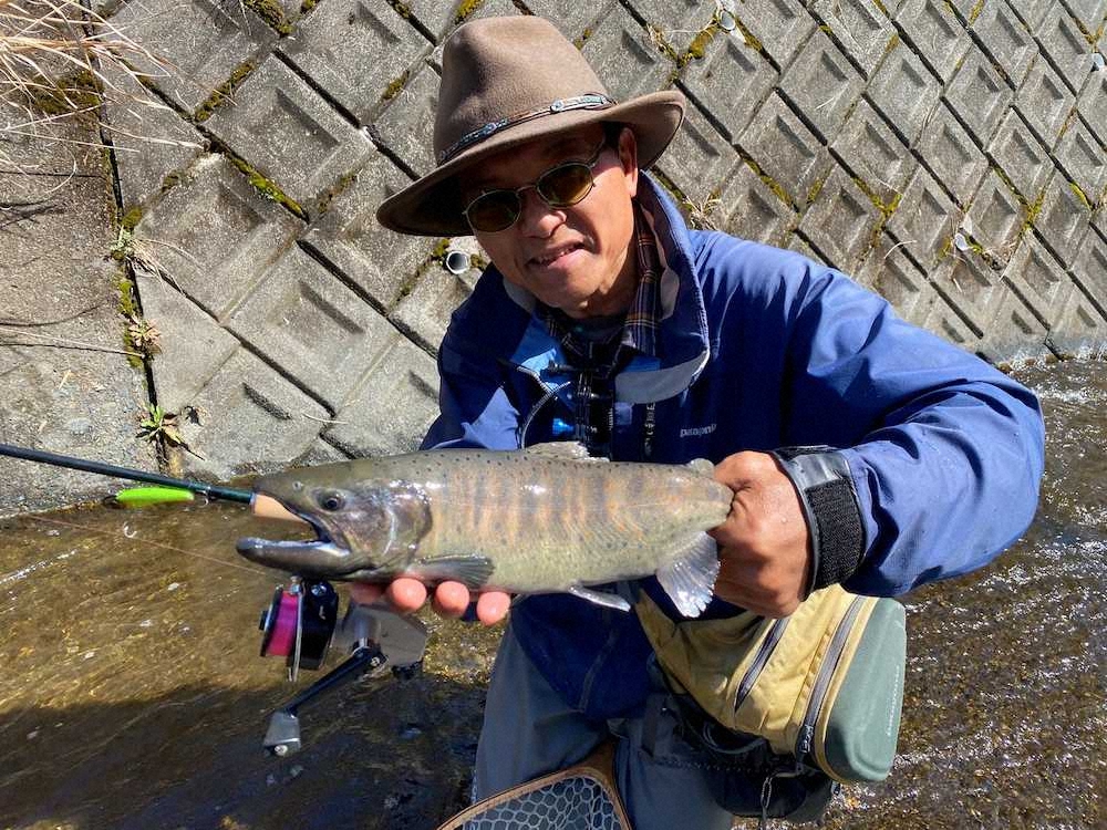 【画像・写真】鬼の形相？！アマゴ36センチ　地元漁協ブランド化目指すいかつい顔
