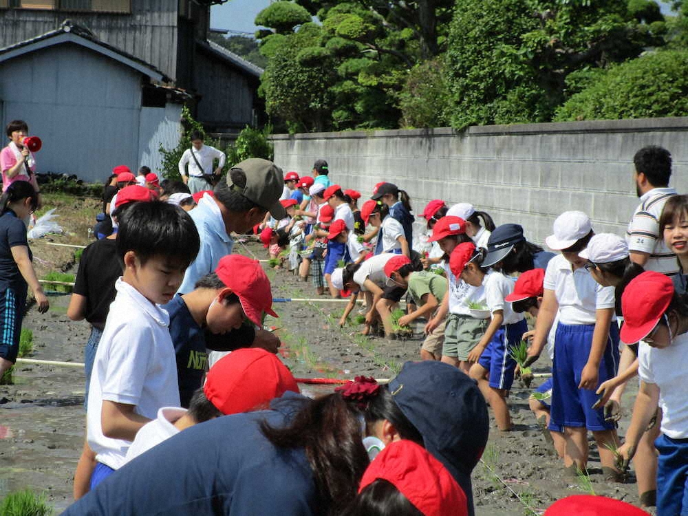 【画像・写真】【第１０９回】このゆびと～まれ