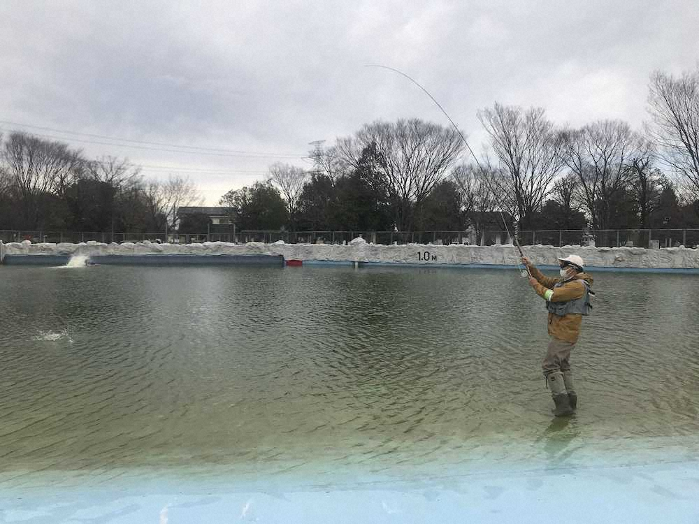 【画像・写真】レインボー&桜“W満開”　30～40センチ5匹　21日開花宣言