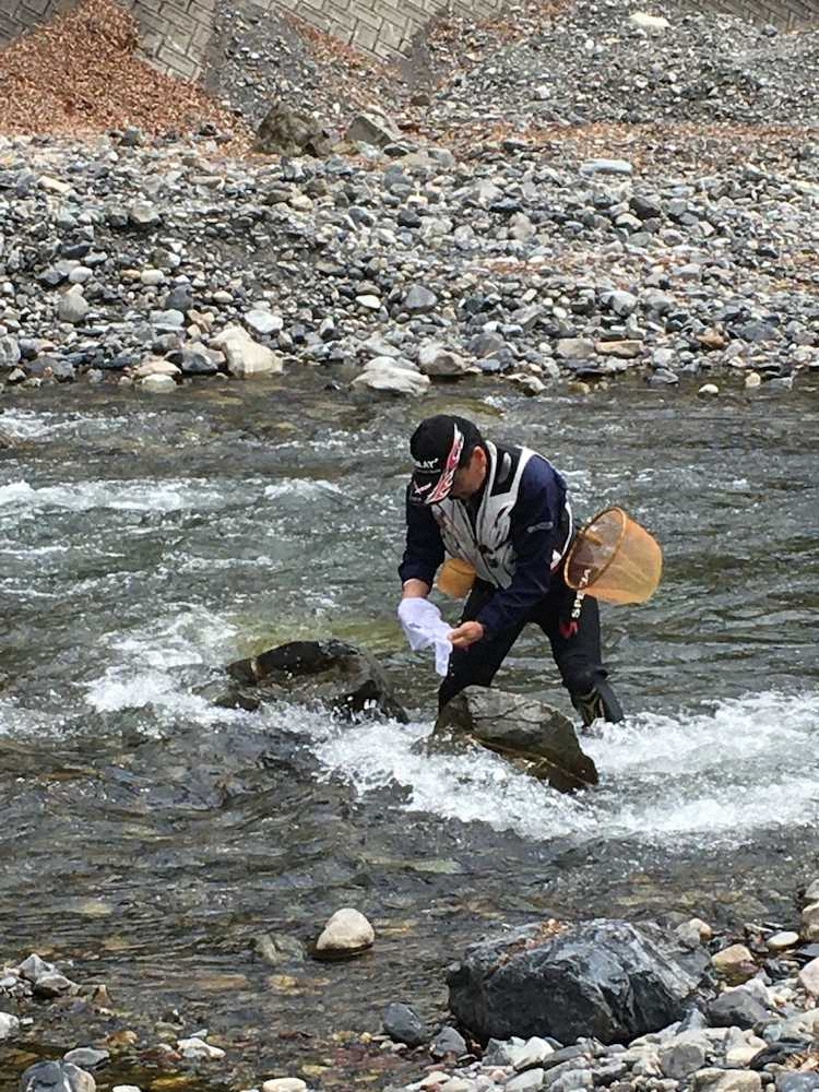【画像・写真】天然ヤマメ10匹のお出迎え　春のうららに誘われ足運んだ丹波川