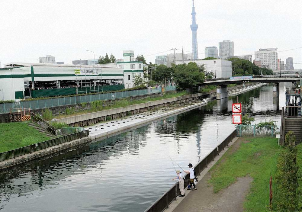 東京スカイツリーを望む横十間川のポイント