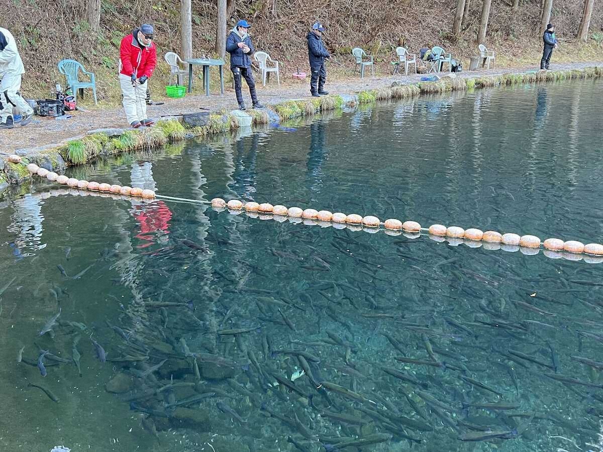 日本一の魚影は健在
