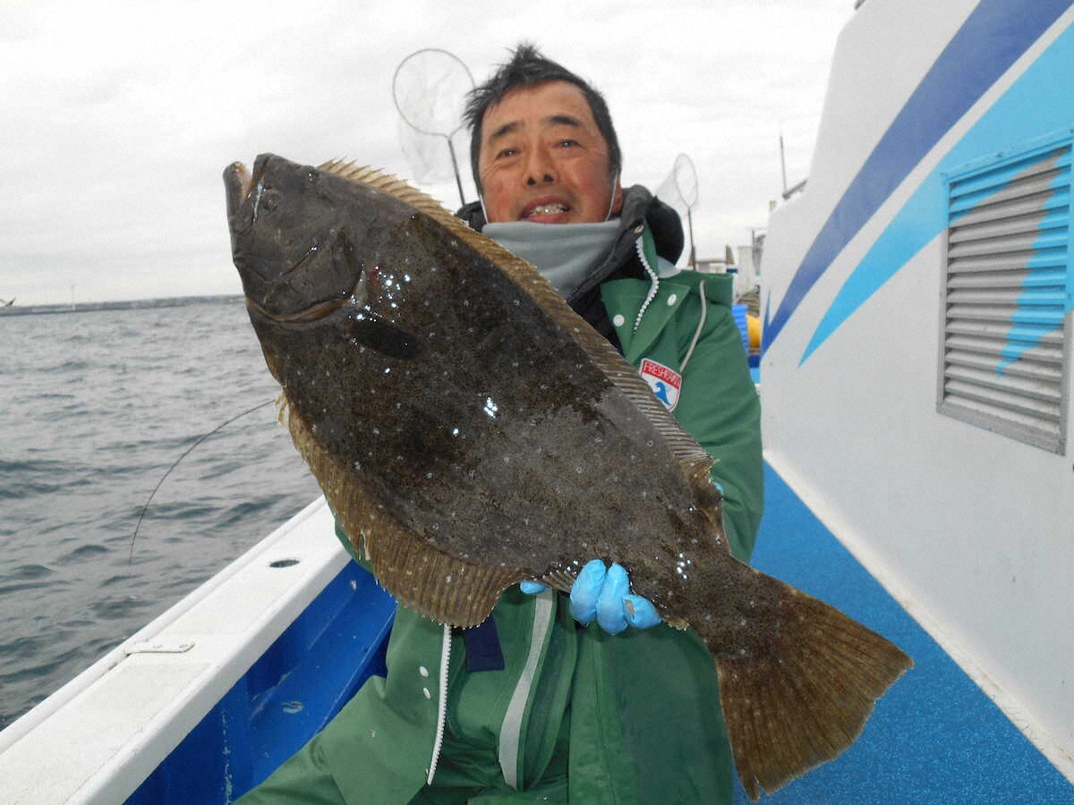 【画像・写真】奇跡のヒラメ祭り　「底荒れ」の海がイワシの“ナブラ”で一変
