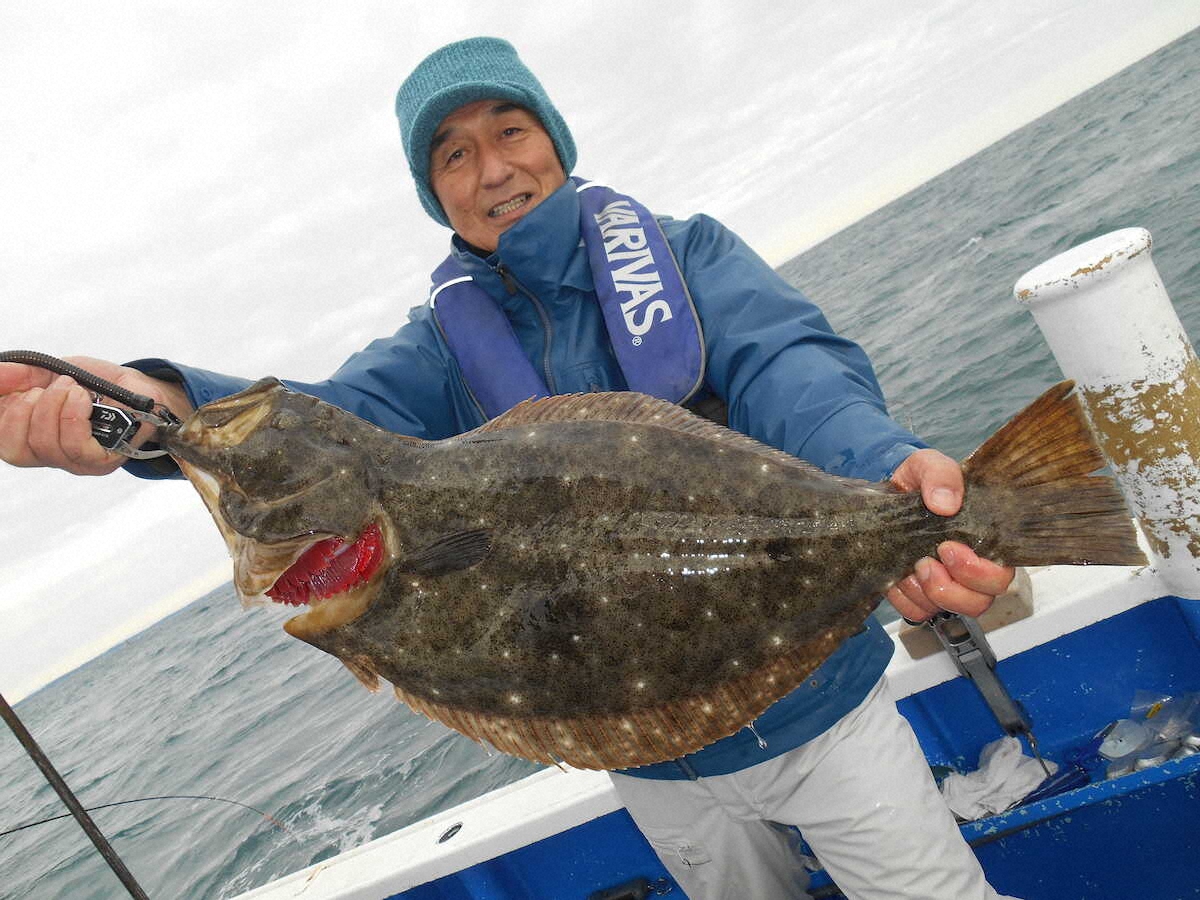 【画像・写真】奇跡のヒラメ祭り　「底荒れ」の海がイワシの“ナブラ”で一変