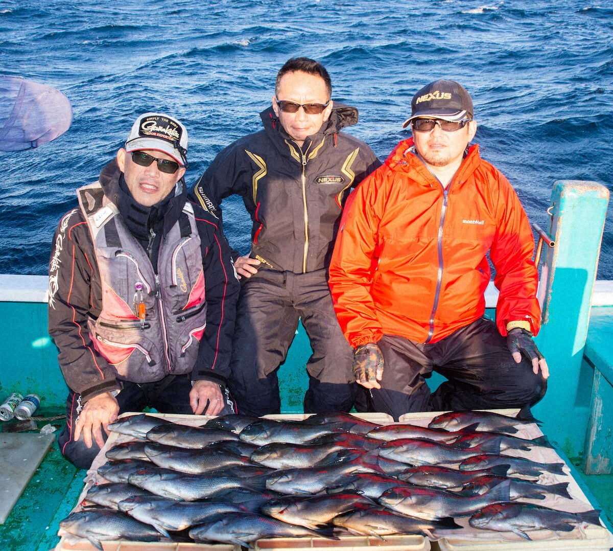 【画像・写真】脂ノリノリ、白子パンパン　寒グレ最大40センチ来た　和歌山県みなべ町堺漁港