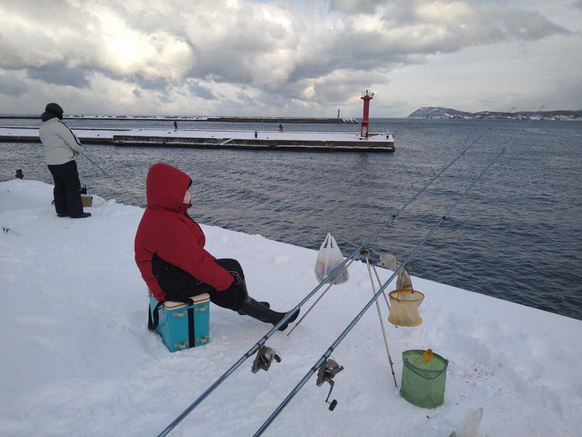 【画像・写真】ホッケ好調43匹！無風ベタ凪の好条件で40センチ級連発　コマセは多めに準備を～余市漁港～