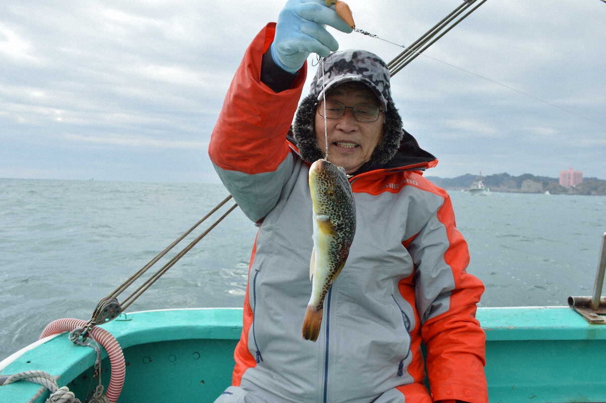 【画像・写真】称賛フグ　ポイントの水深浅く道具もシンプルで楽しめる　大原・幸盛丸