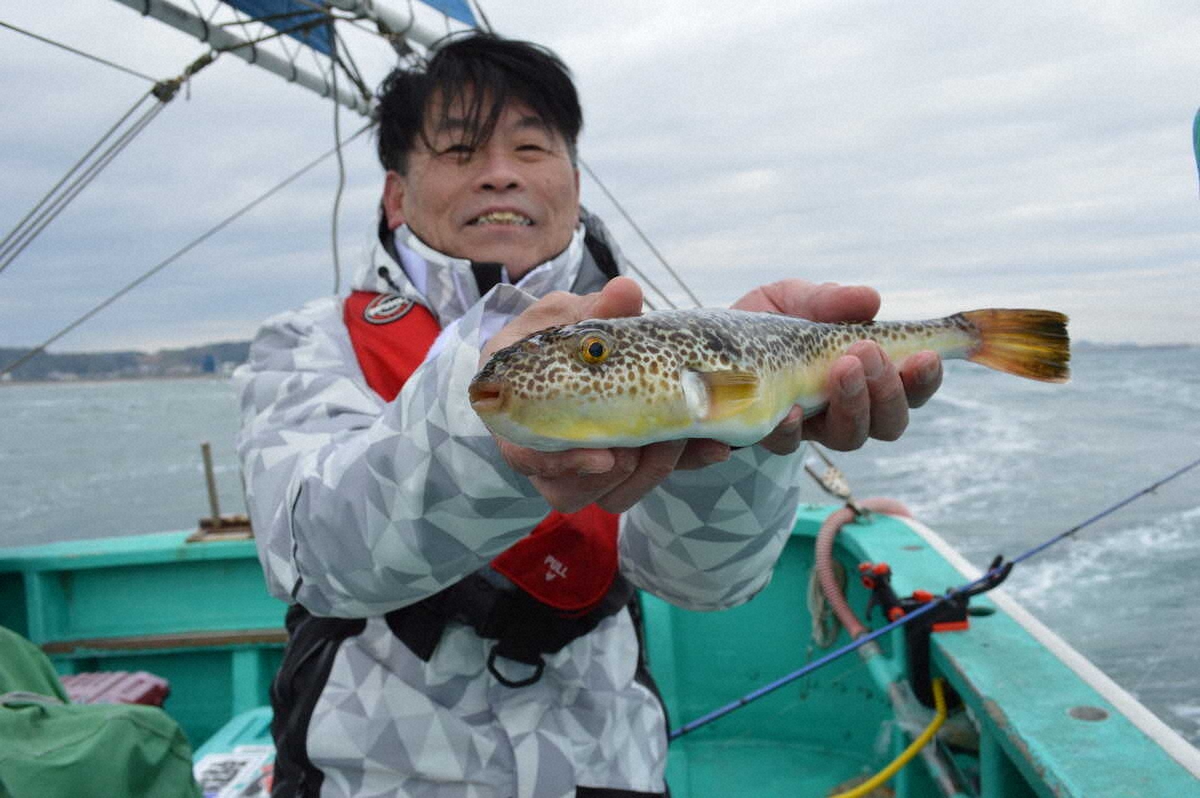 【画像・写真】称賛フグ　ポイントの水深浅く道具もシンプルで楽しめる　大原・幸盛丸