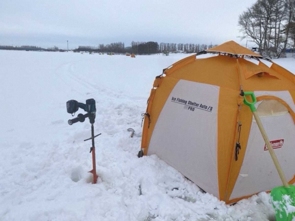 【画像・写真】冬釣りの代名詞・ワカサギ「大物」含む60匹　短時間ながら好漁～札幌市「とれた小屋ふじい農園」～