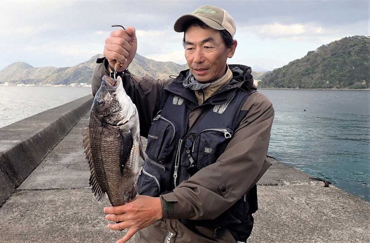 【画像・写真】51センチ　クロダイ“主役級”　本命メジナ苦戦の中で思わぬ大物