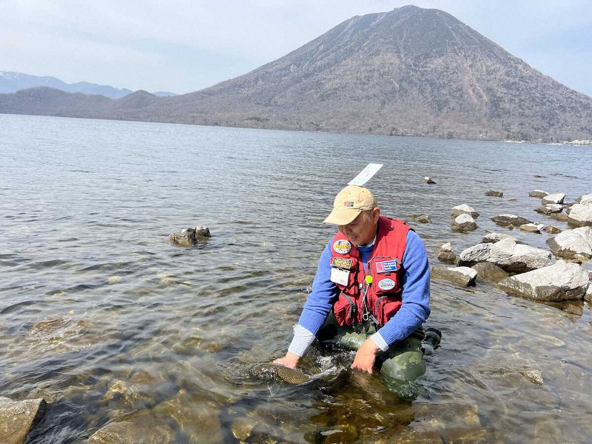 【画像・写真】“忍者”になって攻略　ヒレピン70センチ超レイクトラウト　C＆R繰り返して賢く敏感に