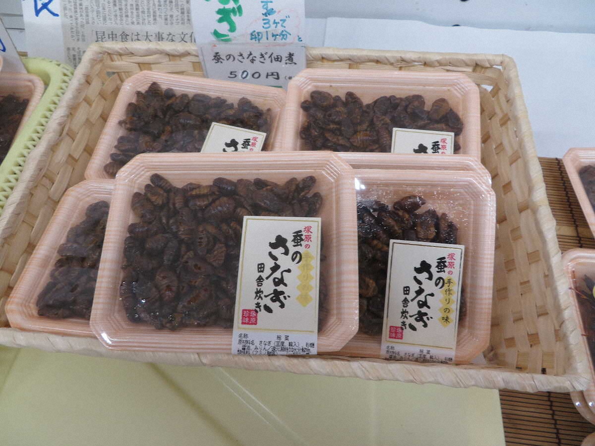 【画像・写真】【長野・岡谷＆駒ヶ根】織物トンネルに感動、巨大カイコにびっくり…信州シルク回廊を歩く