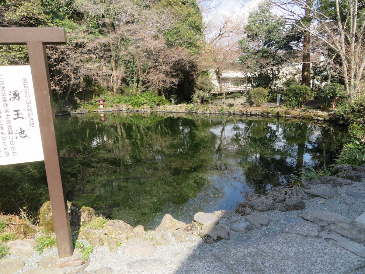 透明度がハンパない湧玉池。毎日20トンもの富士山の伏流水が湧出するというから驚きだ　