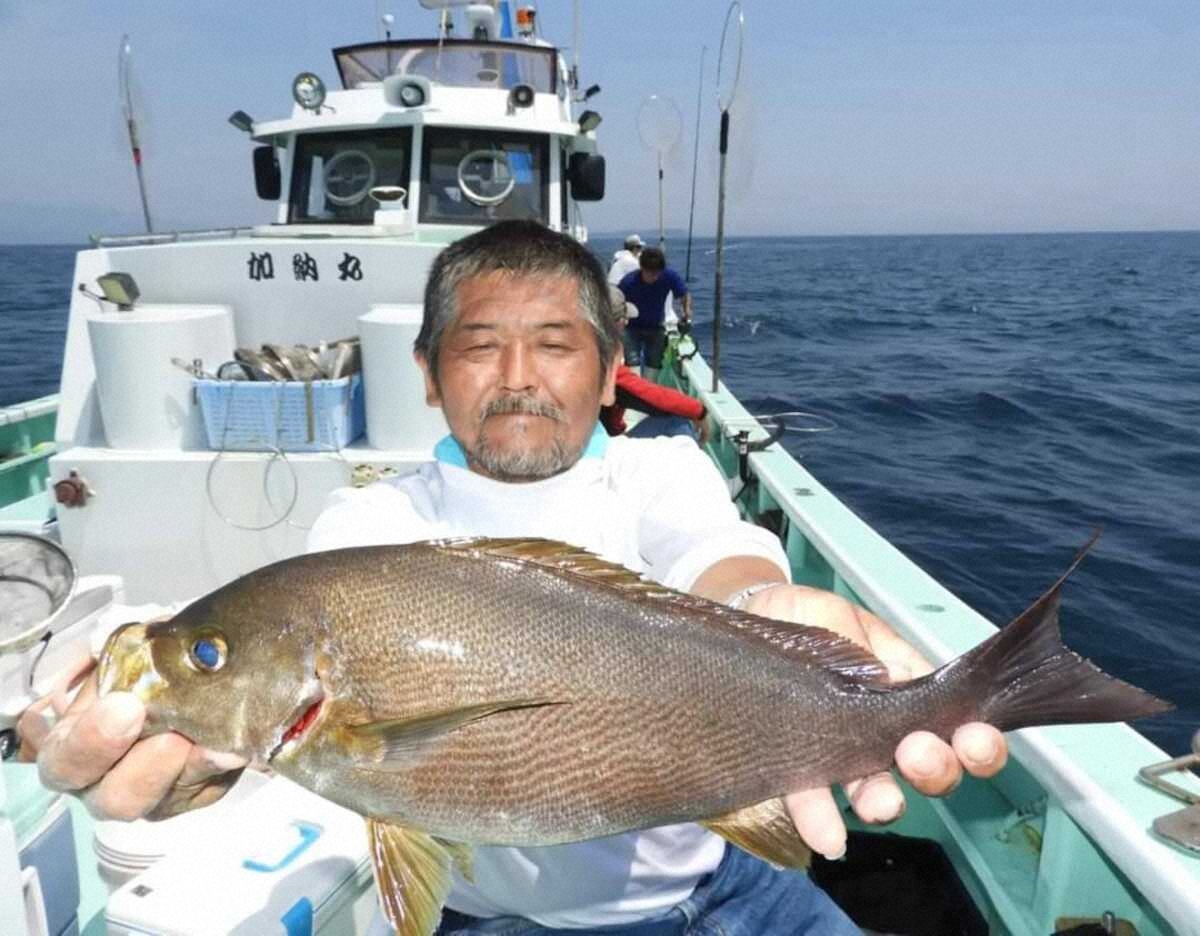 【画像・写真】肉厚！デカイ！！44センチ特大イサキ　ゲストも多彩良型メジナに1キロ級マダイ