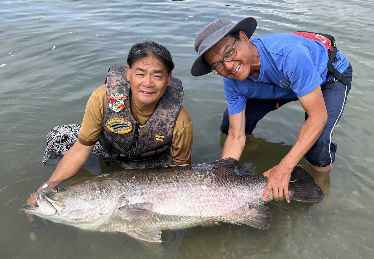 【画像・写真】日本３大怪魚123センチのアカメ“攻略”　高知県浦戸湾3日間激アツファイト
