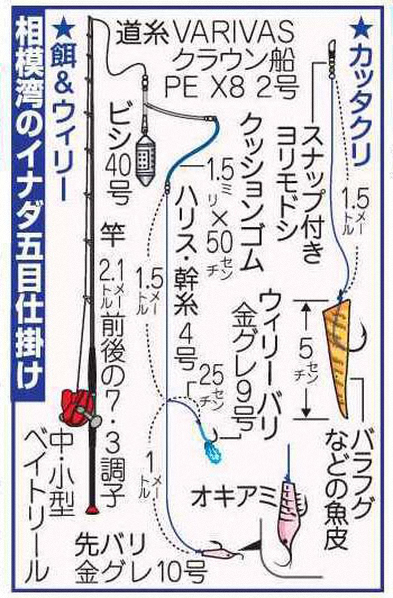 【画像・写真】イナダ今だ！！回遊魚天国だ！　40～46センチ！！丸・平ソーダ、マアジ…ゲストも多彩