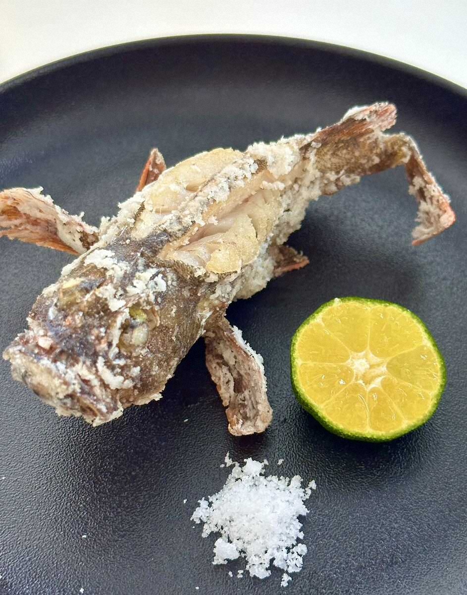 【画像・写真】今宵はカサゴで大人の夜遊び　唐揚げにして“キュッと一杯”2度楽しい